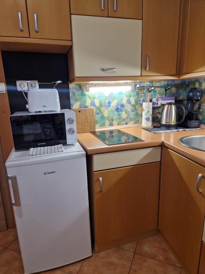 Apartment Niko Piran