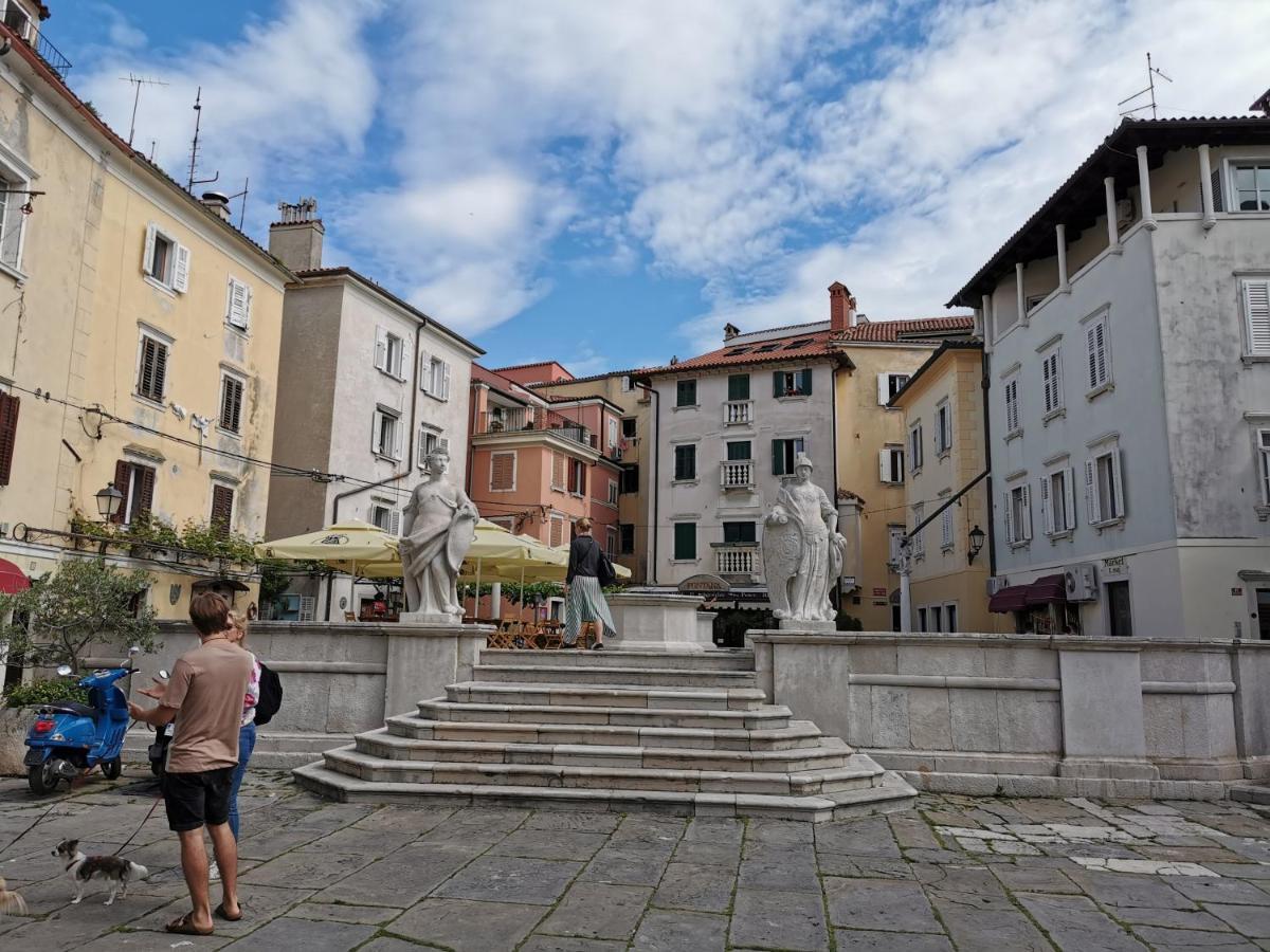 Apartmán Niko Piran